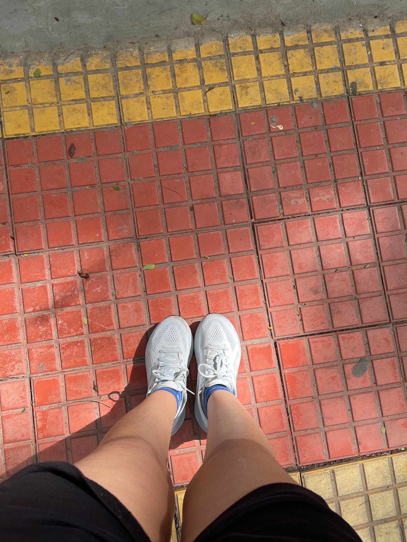 ASICS GEL KAYANO 31 Sports running shoe women