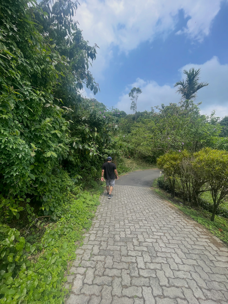 amith-walking.jpg