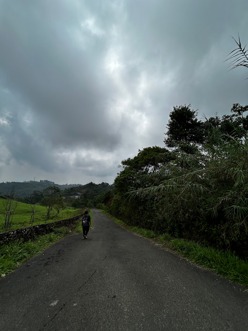 tripti-walking-on-road.jpg