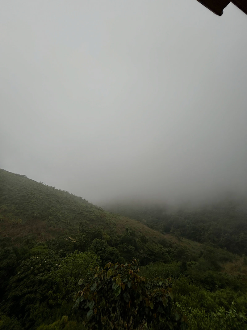 view-from-balcony.jpg